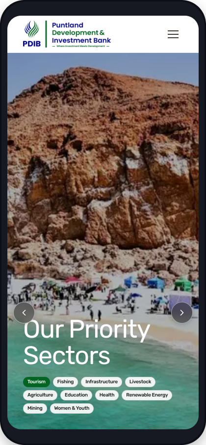 Puntland Development and Investment Bank website on a phone